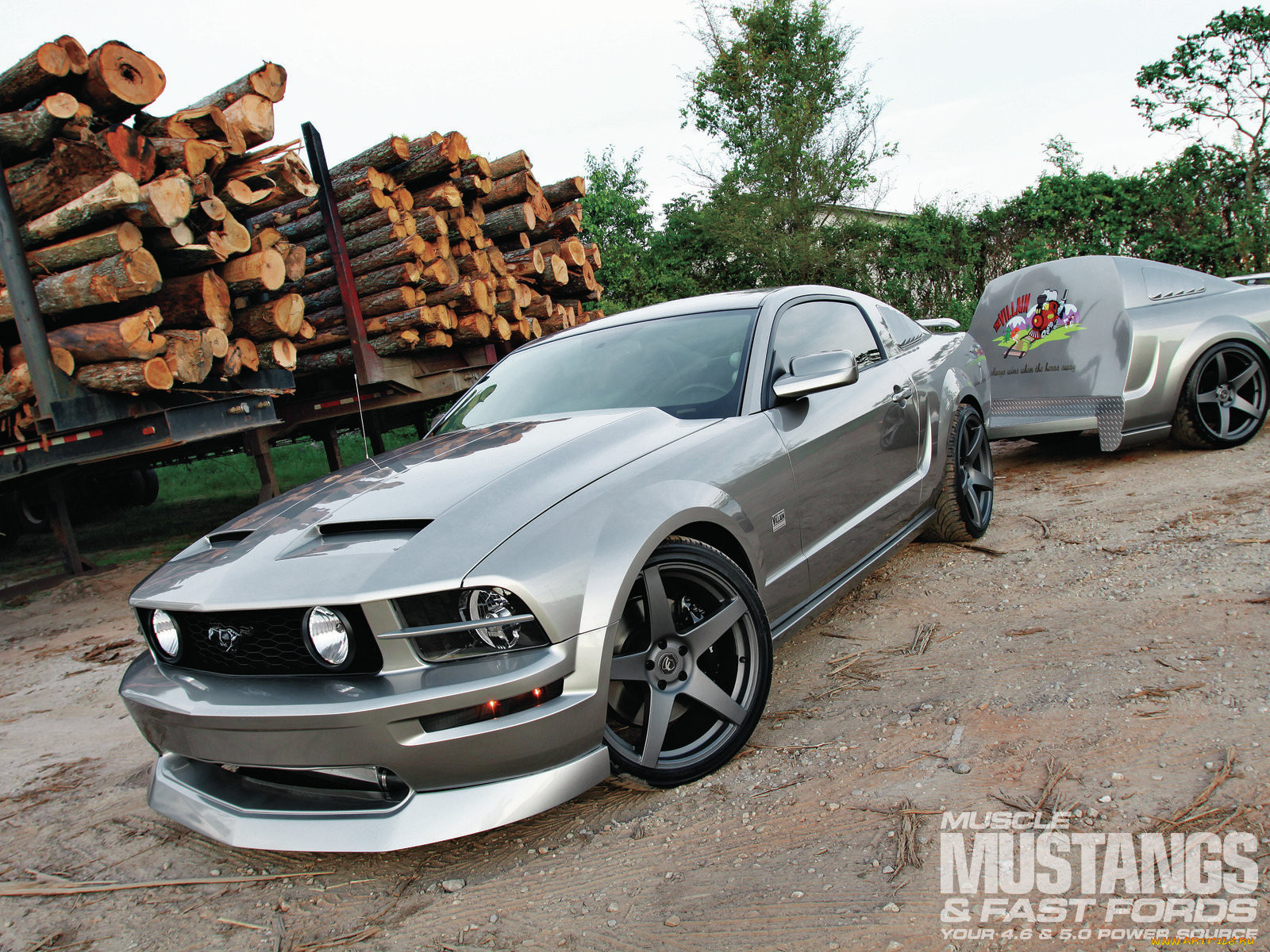 , mustang